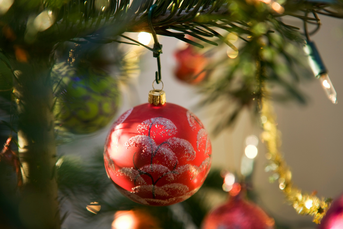 sapin noel