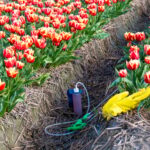Les impacts du mauvais dosage de roundup pour 5l d’eau sur votre environnement